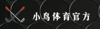 使用指南与常见问题